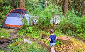 Courtney P.'s photo at Verlot Campground near Snohomish, WA