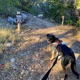 Review photo of Lost Maples State Natural Area by Priscilla  M., August 9, 2021