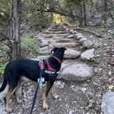 Review photo of Lost Maples State Natural Area by Priscilla  M., August 9, 2021