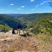 Review photo of Lost Maples State Natural Area by Priscilla  M., August 9, 2021