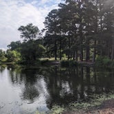 Review photo of Tuckahoe State Park Campground by Sean R., August 9, 2021