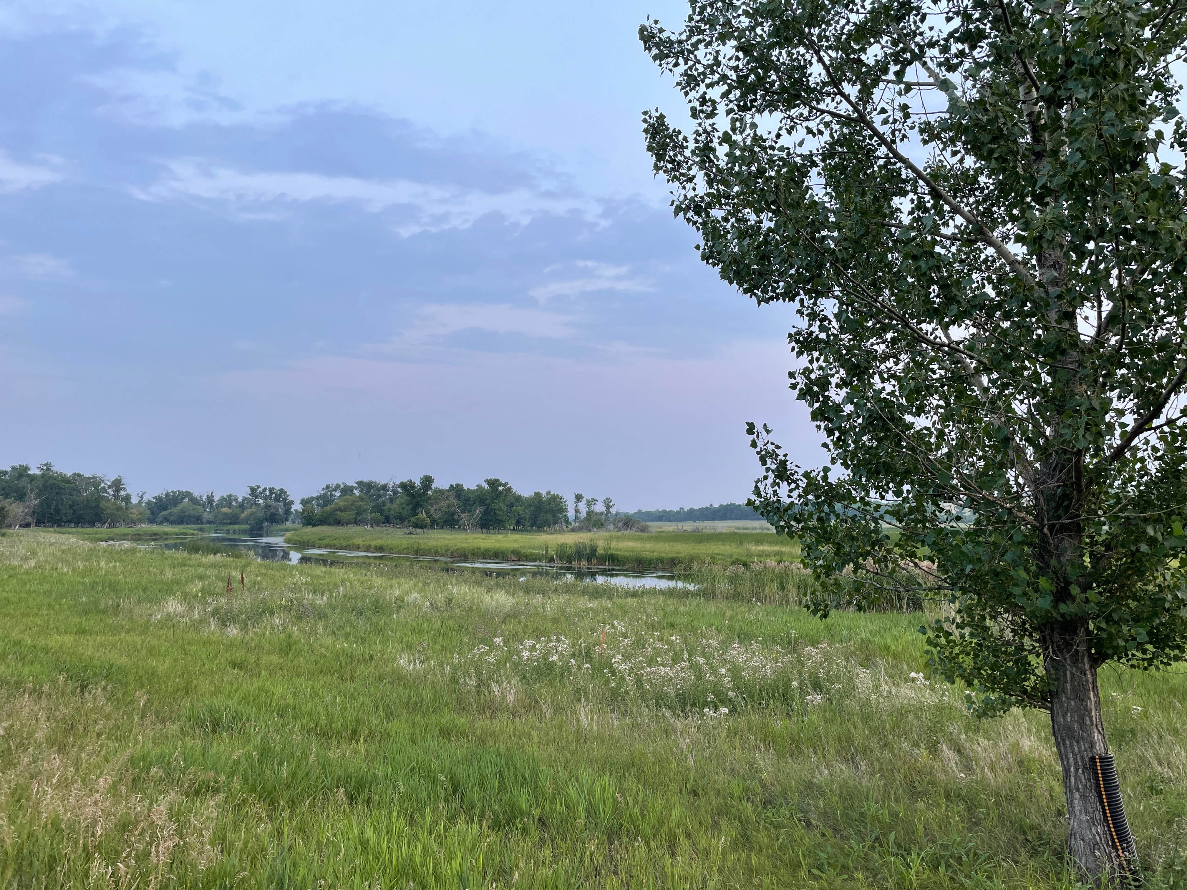 Camper-submitted photo at Mouse River Park near Kenmare, ND