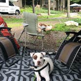 Review photo of Raystown Lake / Saxton KOA at Four Seasons by Jonathan  F., August 8, 2021