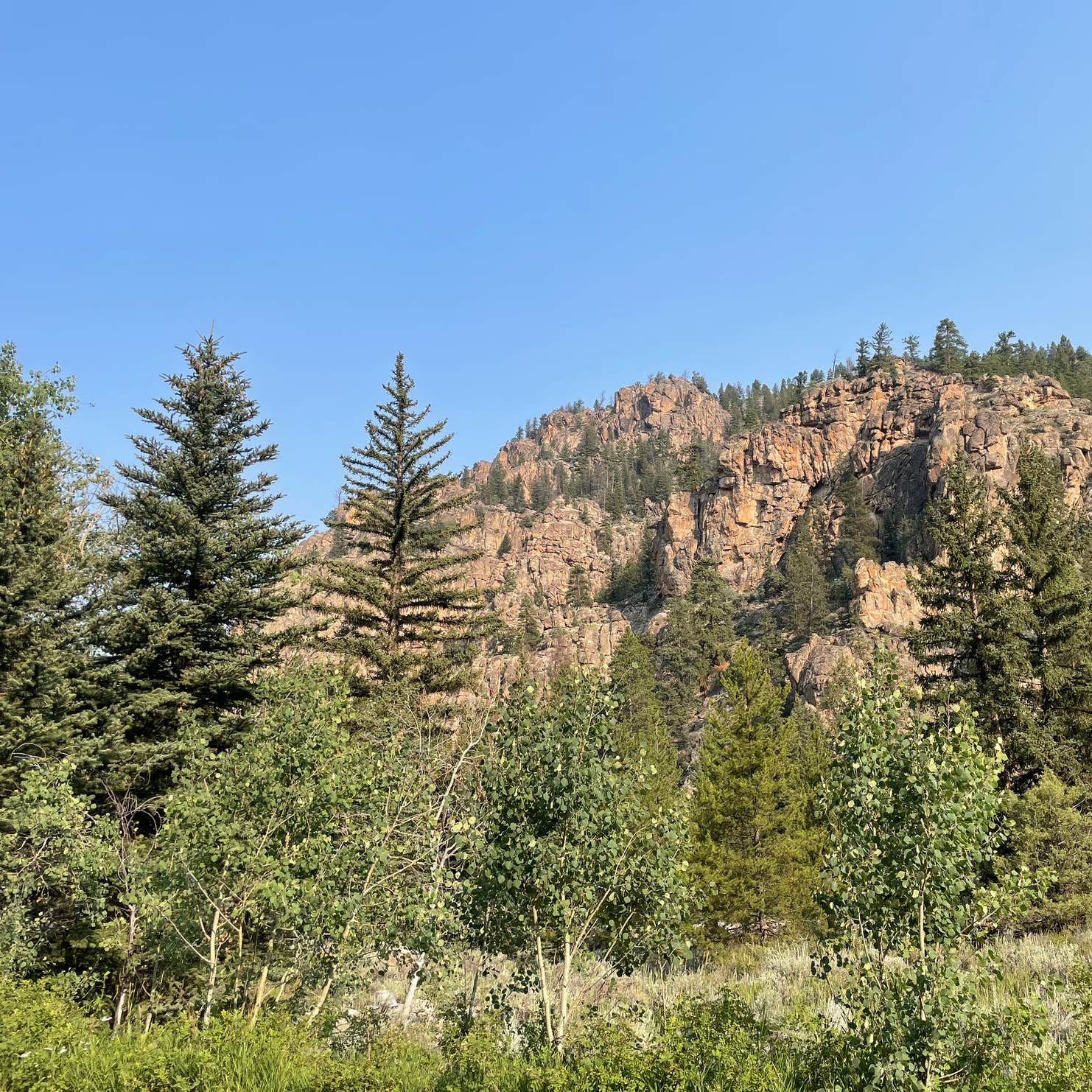 Best dispersed camping near Salida, Colorado | The Dyrt