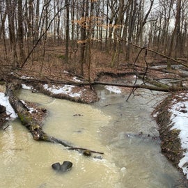 Meeting of two creeks near the campground
