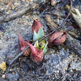 Review photo of Mounds State Park Campground by Ruby P., August 9, 2021