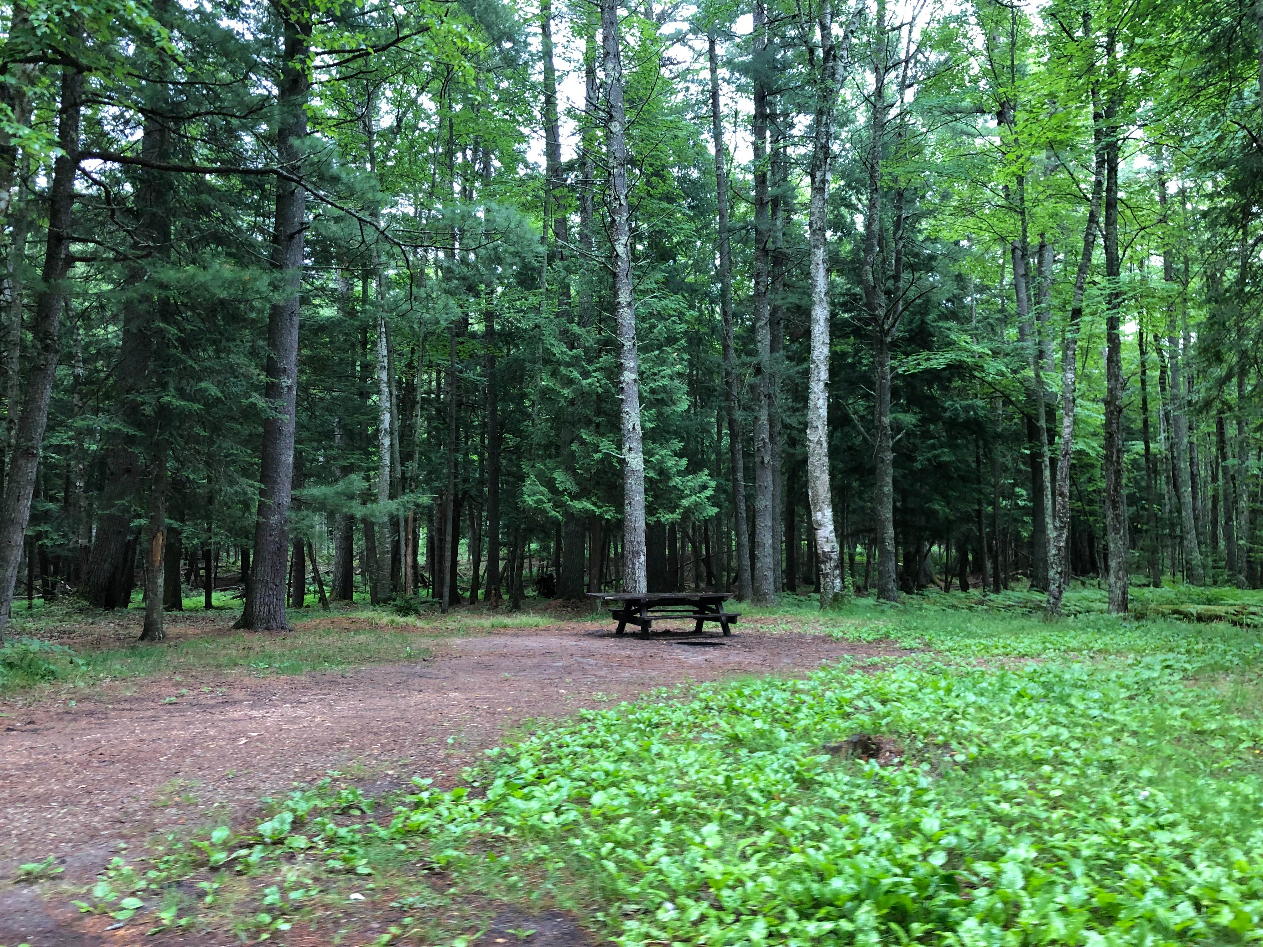 Best dispersed camping in Hiawatha National Forest The Dyrt