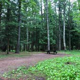 Review photo of Haymeadow Creek NF Campground by Art S., August 9, 2021