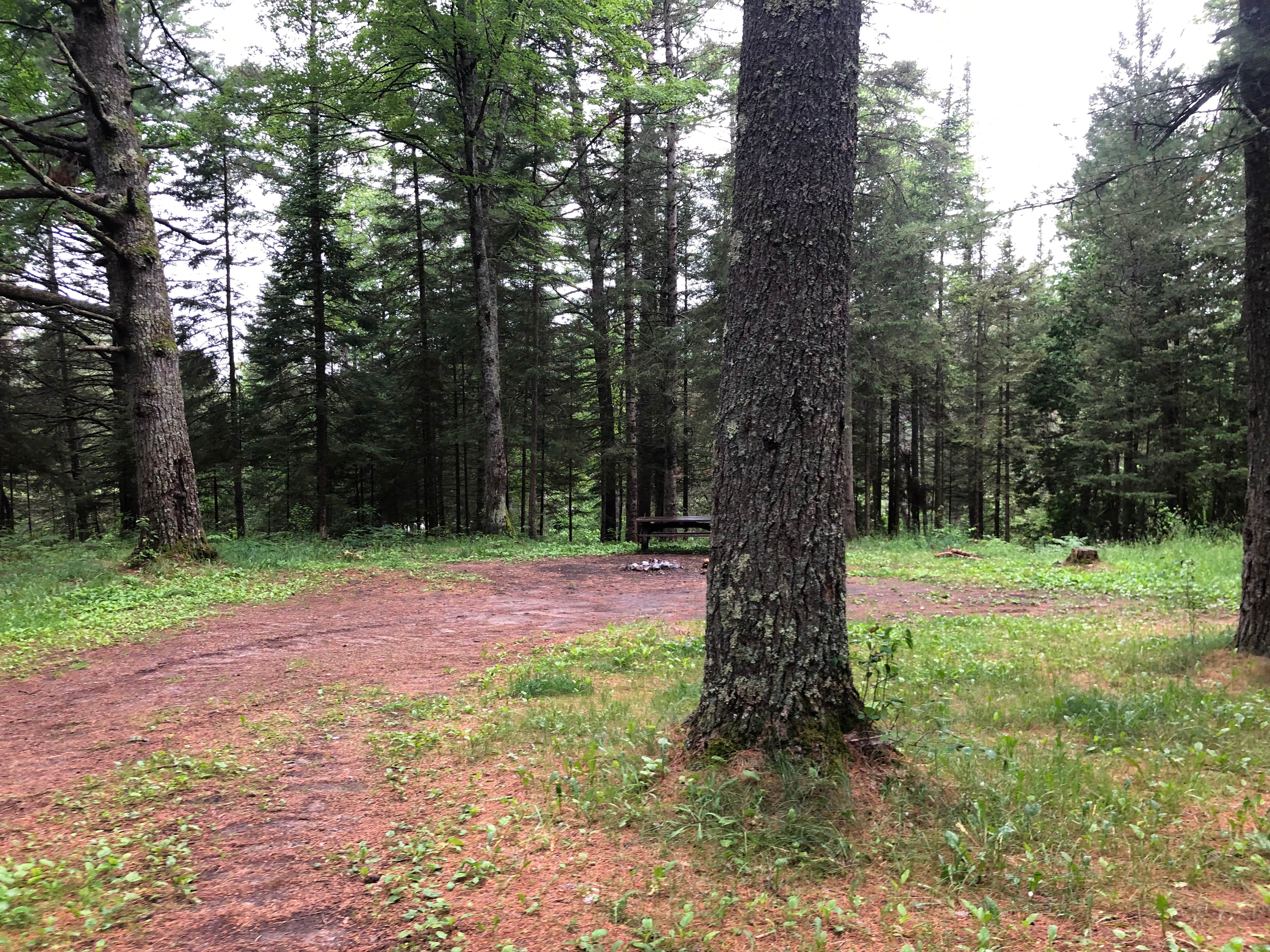 Camper submitted image from Haymeadow Creek NF Campground - 2