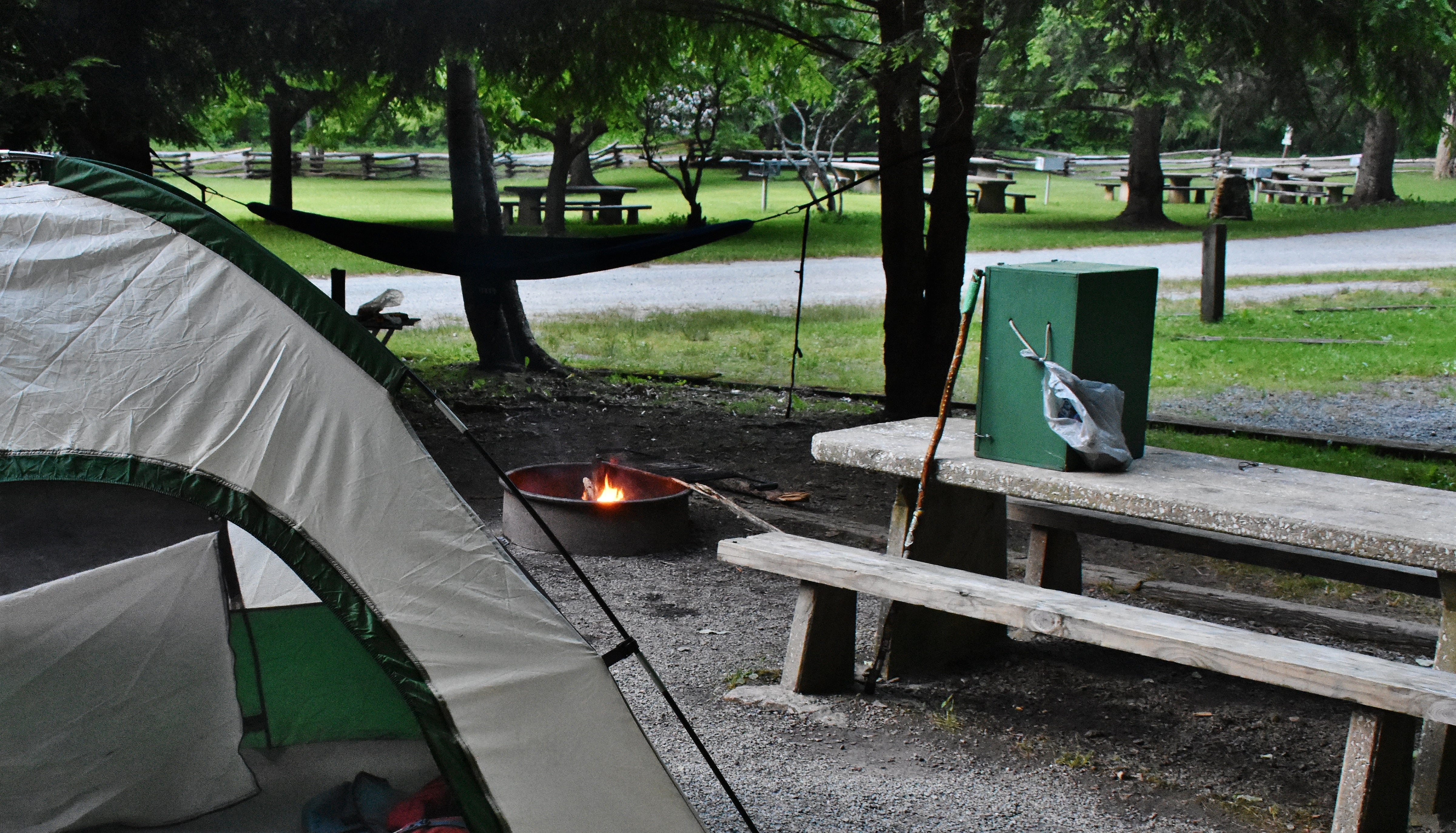 There is a large picnic area in addition to the campsites.