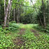 Review photo of Haymeadow Creek NF Campground by Art S., August 9, 2021