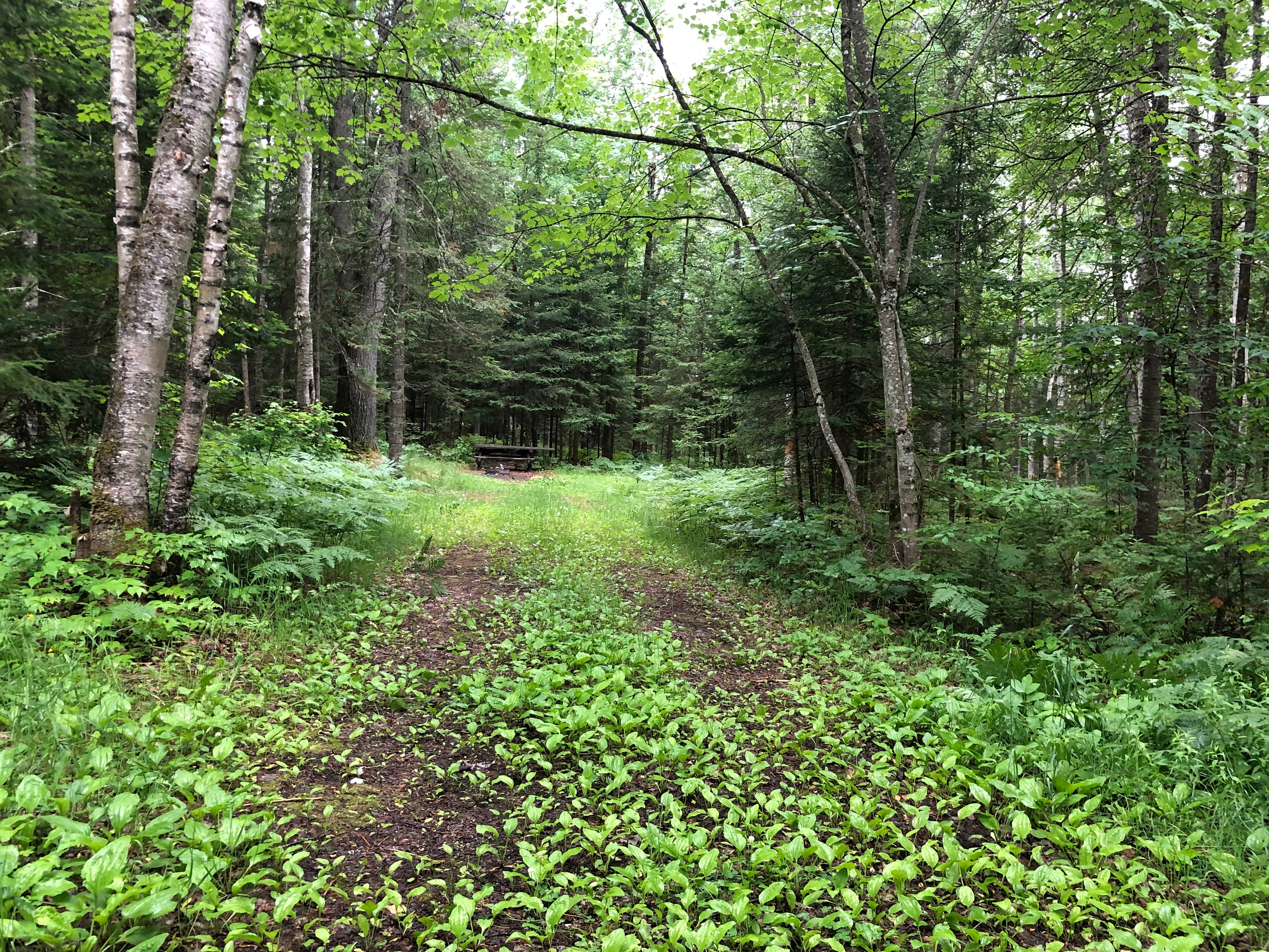 Camper submitted image from Haymeadow Creek NF Campground - 4