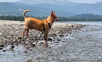 megan's photo of camping with pets at Madison Arm Resort near Yellowstone National Park