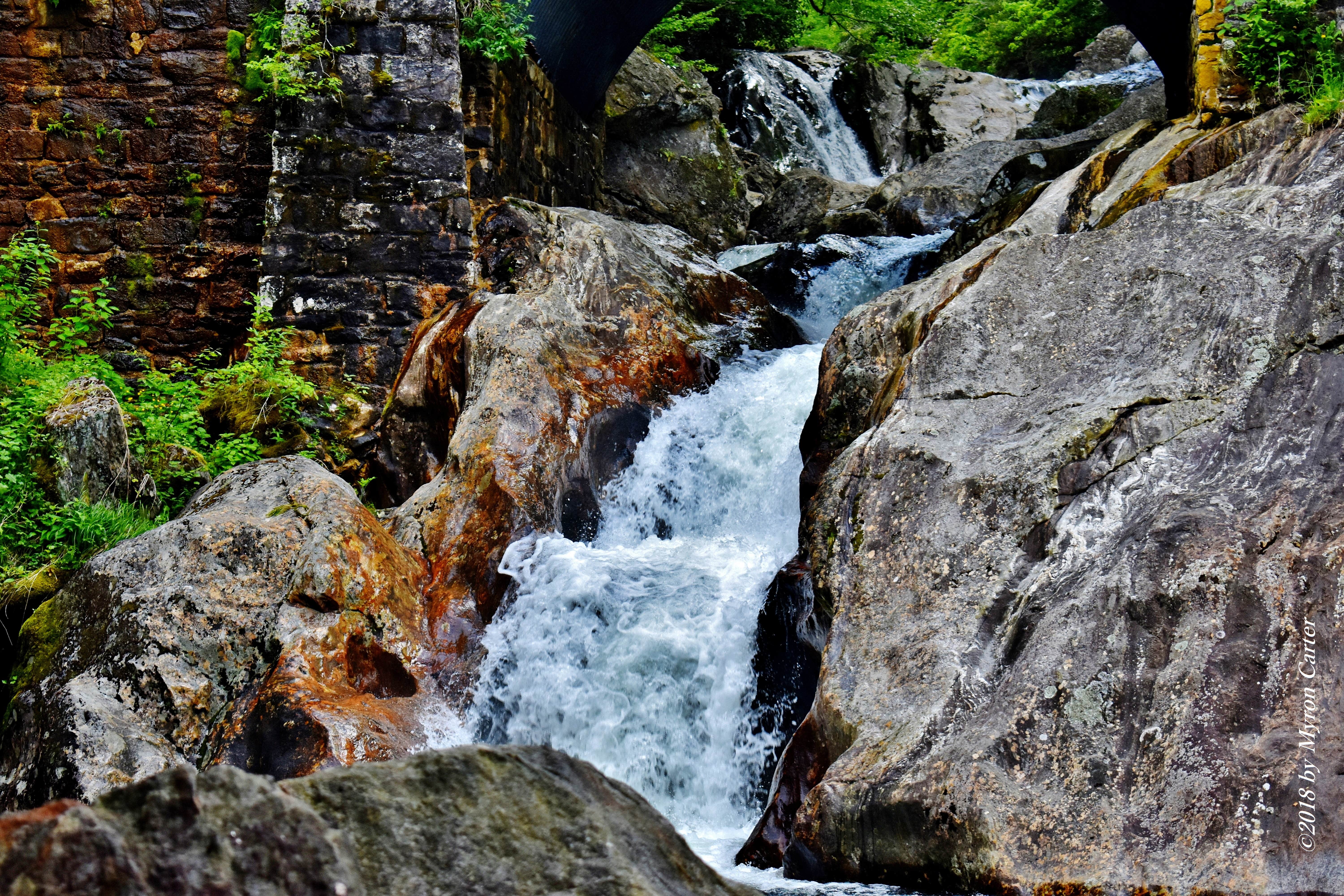View All
