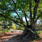 Review photo of Beechwood Campground — Ludington State Park by Lane H., August 9, 2021