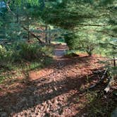 Review photo of Beechwood Campground — Ludington State Park by Lane H., August 9, 2021