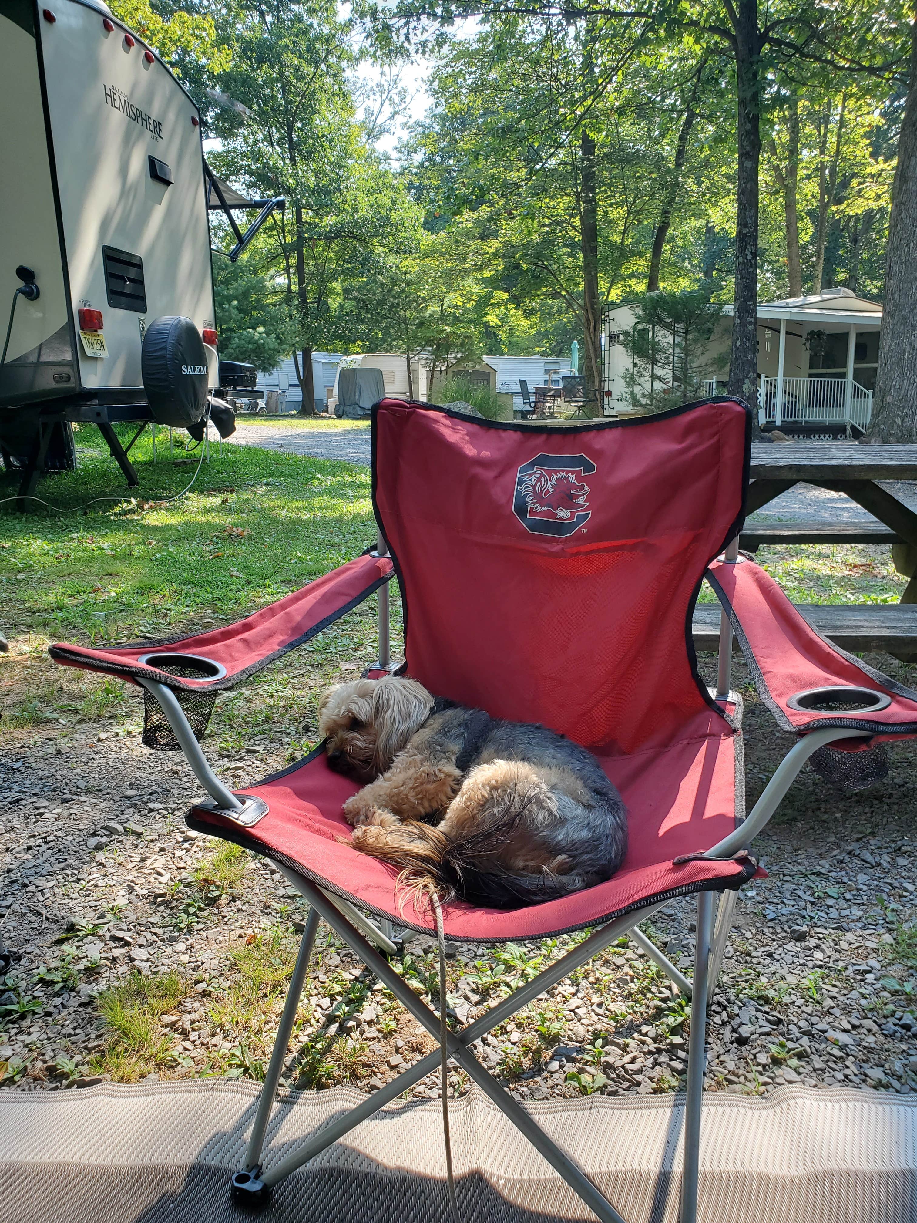 Camper-submitted photo at Happy Hills Campground near Little Orleans, MD