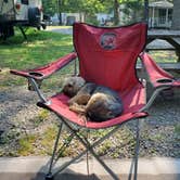 Review photo of Happy Hills Campground by Phil , August 9, 2021