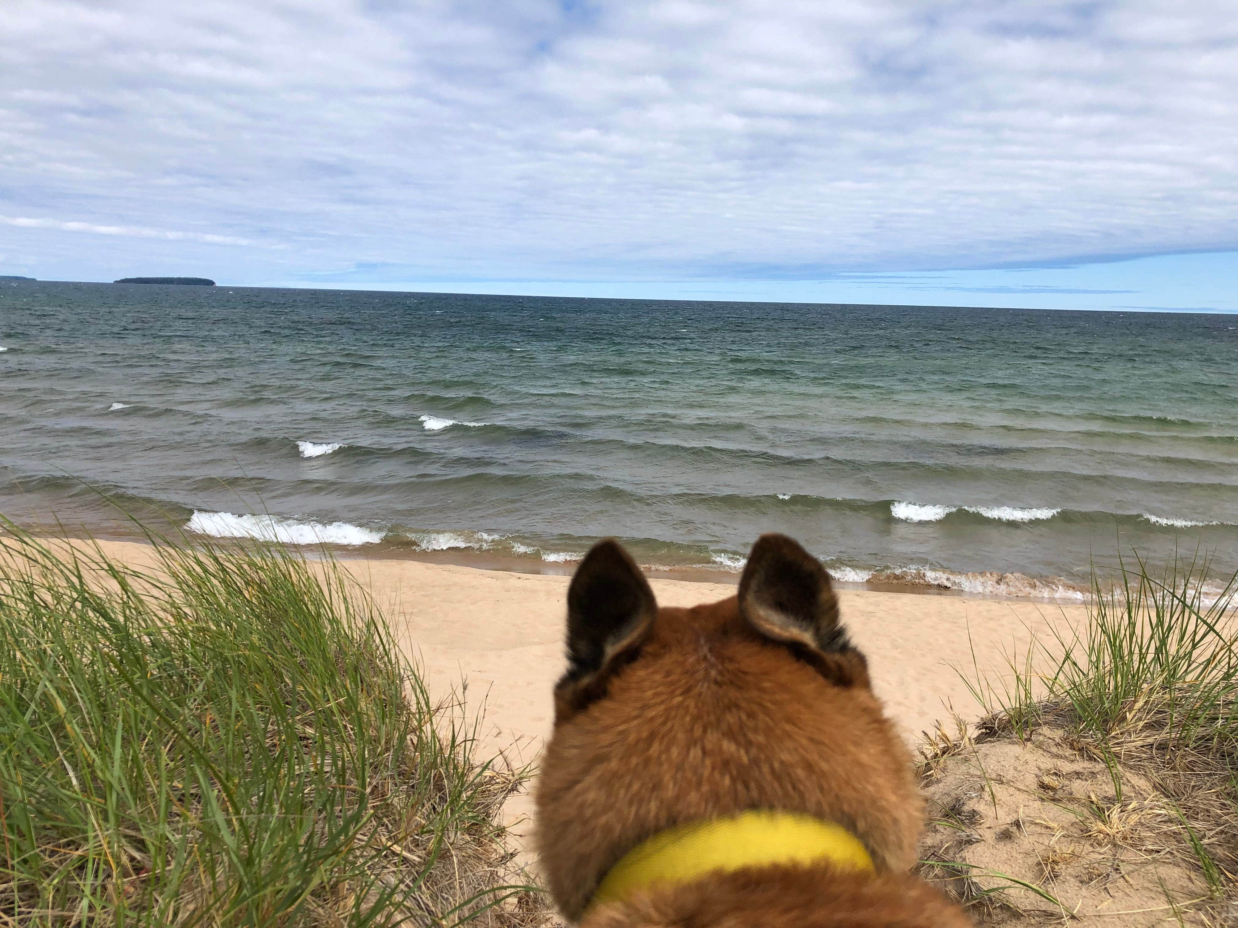 Art S.'s photo of camping with pets at Bay Furnace Campground near Pictured Rocks National Lakeshore