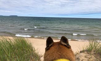 Art S.'s photo of camping with pets at Bay Furnace Campground near Ishpeming, MI