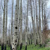 Review photo of Winding River Resort by Sarah N., August 1, 2021