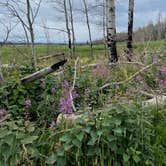 Review photo of Winding River Resort by Sarah N., August 1, 2021