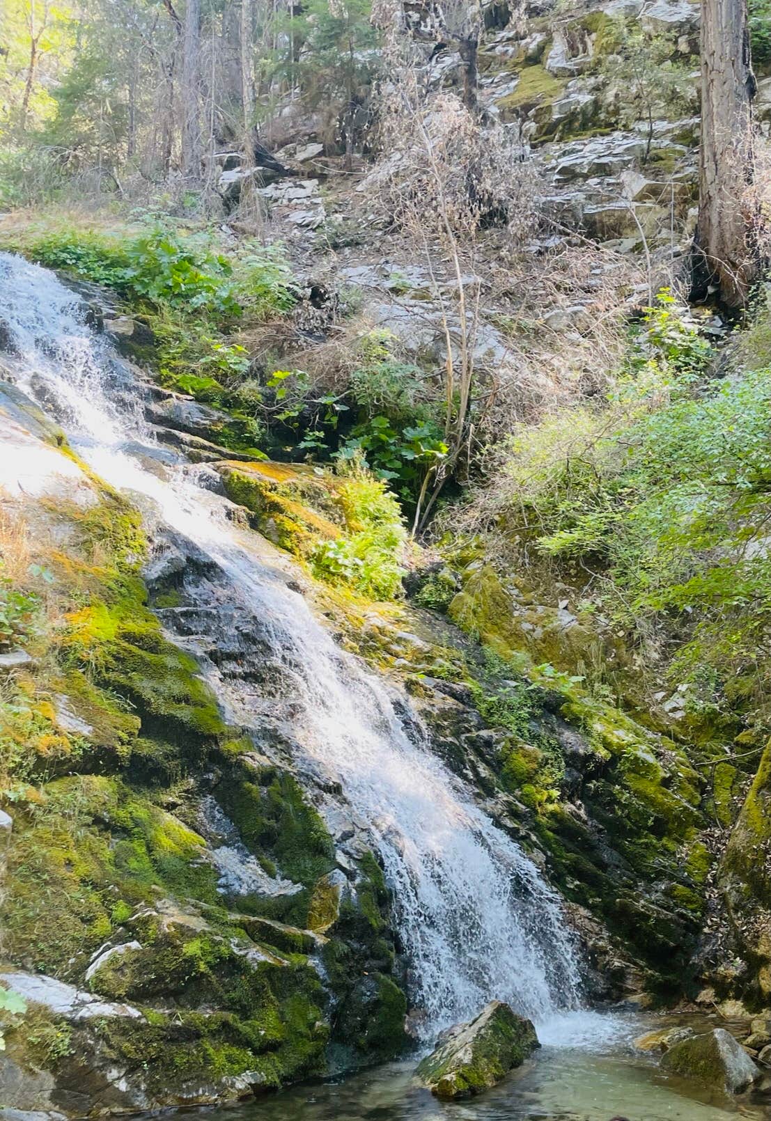 Camper-submitted photo at Brandy Creek RV Campground — Whiskeytown-Shasta-Trinity National Recreation Area near French Gulch, CA