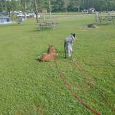 Review photo of Barkcamp State Park Campground by Sharayah H., August 9, 2021