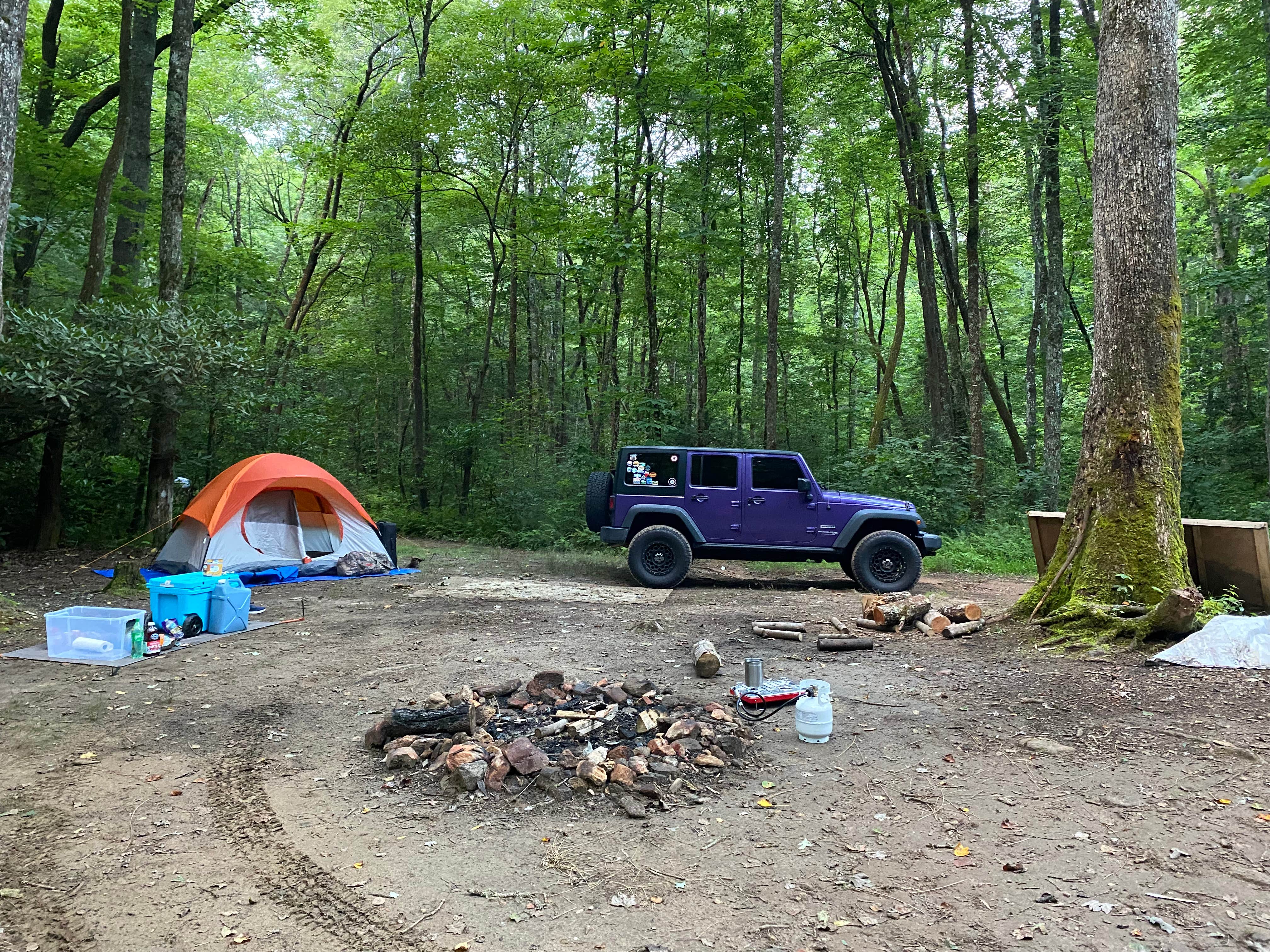 Noah S.'s photo of a dispersed camping area at Soggy Boot Campground near Central, SC