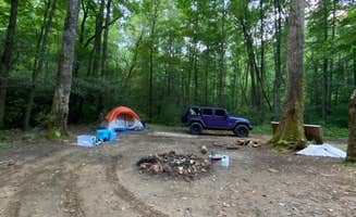 Noah S.'s photo of a dispersed camping area at Soggy Boot Campground near Cleveland, GA