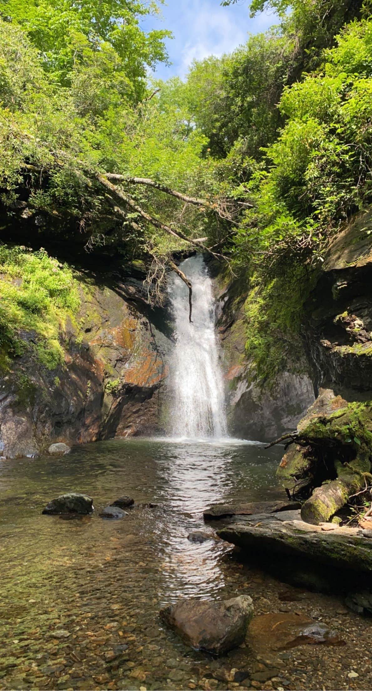 Camper-submitted photo at Courthouse 1 -- Pisgah National Forest near Balsam Grove, NC