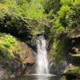 Review photo of Courthouse 1 -- Pisgah National Forest by Noah S., August 9, 2021