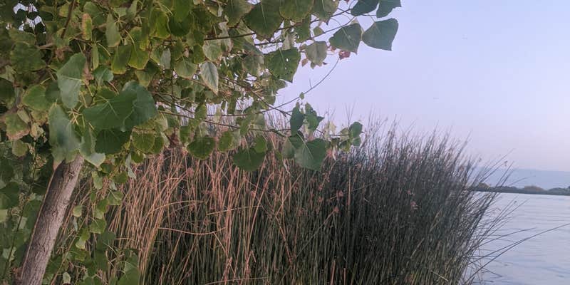 Camper submitted image from Buena Vista Aquatic Recreational Area