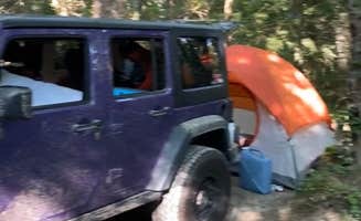Noah S.'s photo at Linville Gorge Wilderness Dispersed Camping--Western Section, NC 128 he near Linville Falls, NC