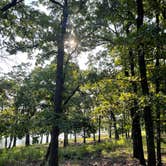 Review photo of Sequoyah Bay Marina and Cabins — Sequoyah Bay State Park by Devang S., August 9, 2021