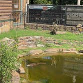 Review photo of Sequoyah Bay Marina and Cabins — Sequoyah Bay State Park by Devang S., August 9, 2021