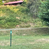 Review photo of Three Rivers Resort & Campground by Dani R., August 9, 2021