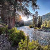 Review photo of Lodgepole (taylor River Canyon Near Gunnison, Colorado) by Lia B., August 9, 2021