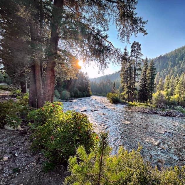 Lodgepole (taylor River Canyon Near Gunnison, Colorado) Camping