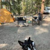Review photo of Lodgepole (taylor River Canyon Near Gunnison, Colorado) by Lia B., August 9, 2021
