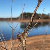 Review photo of Horseshoe Bend Rec Area & Campground by Devang S., August 9, 2021