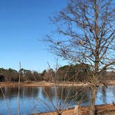 Review photo of Horseshoe Bend Rec Area & Campground by Devang S., August 9, 2021