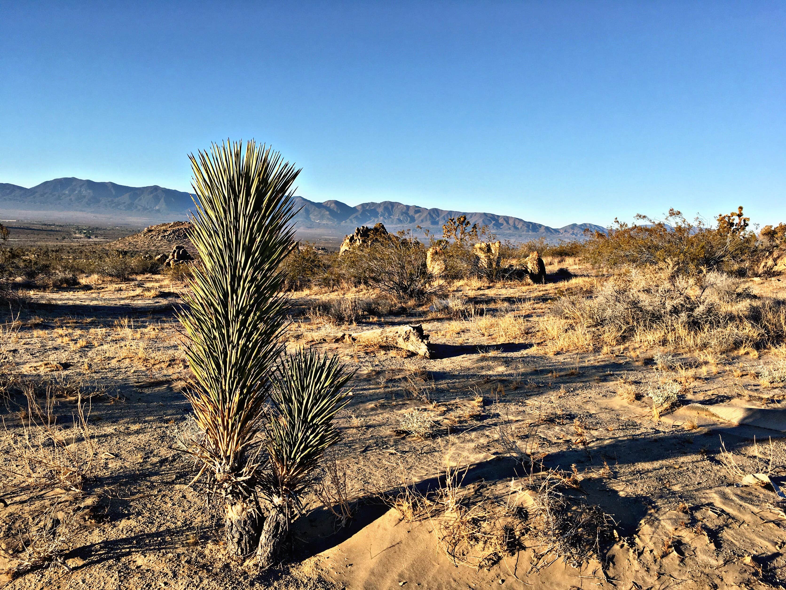 Camper submitted image from Saddleback Butte State Park Campground - 2