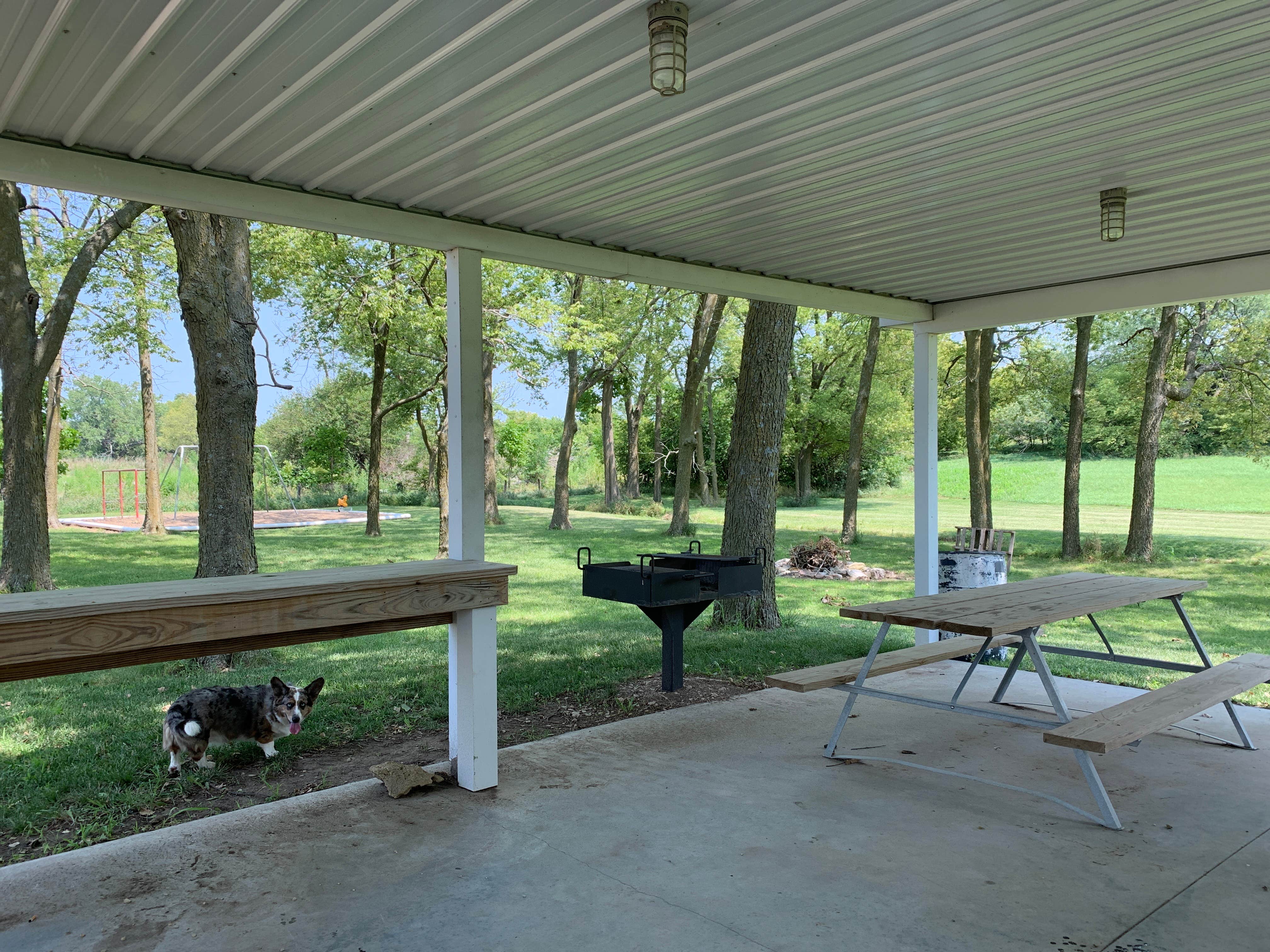 Camper-submitted photo at Greenwood Park near Milford Lake