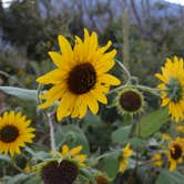 Review photo of Cheyenne Mountain State Park Campground by Stephanie L., July 18, 2016