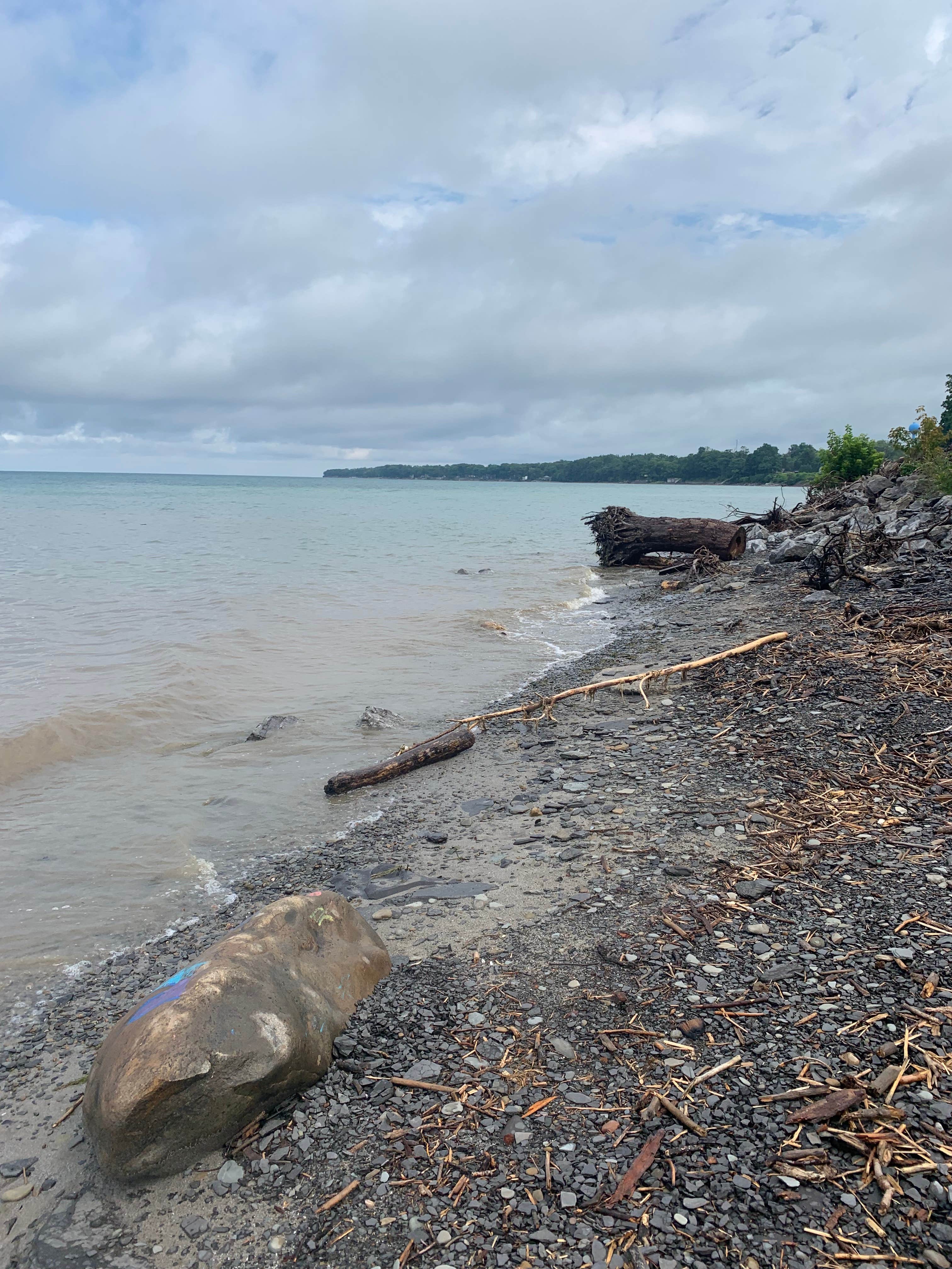 Camper submitted image from Lake Erie State Park Campground - 3