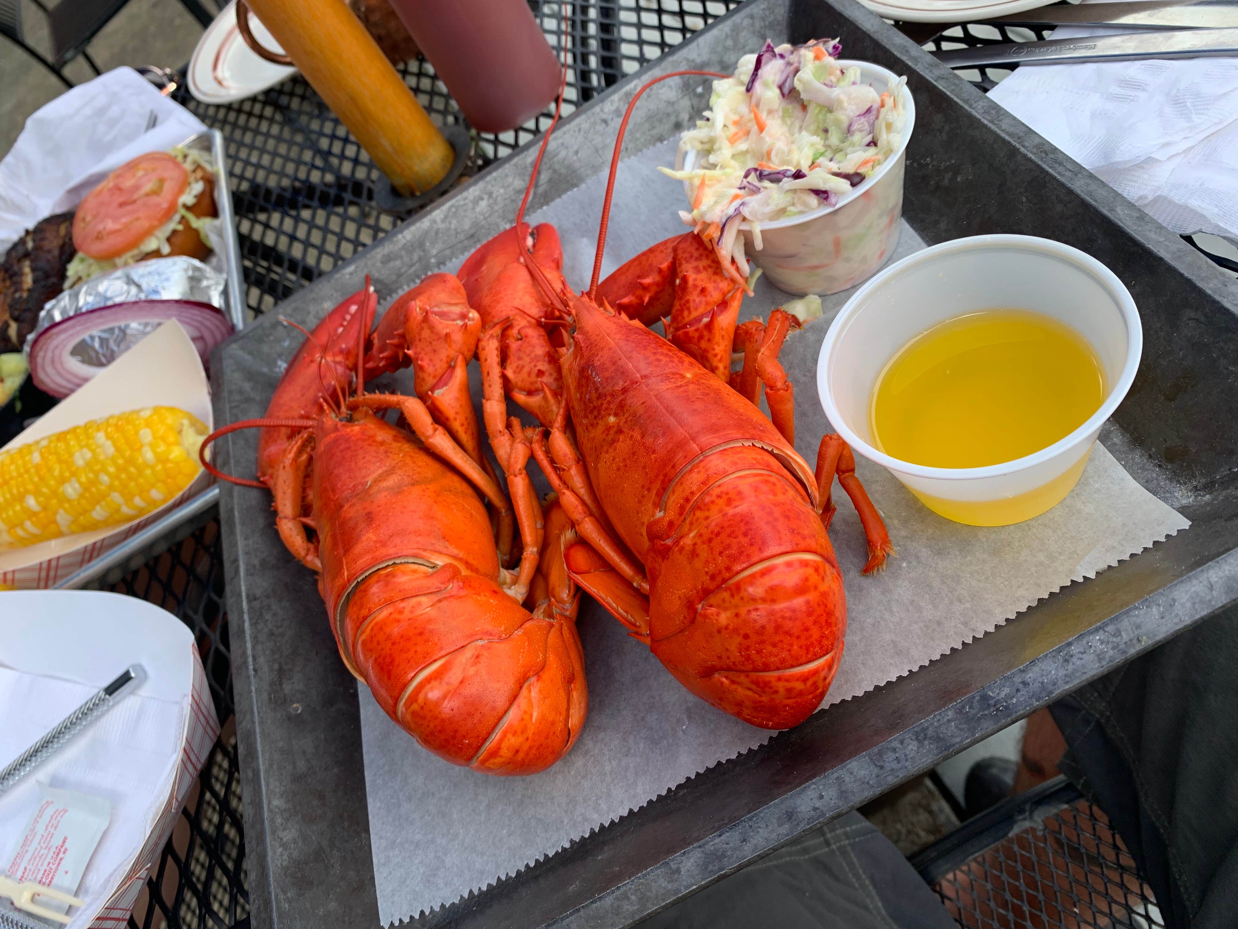 Shawn B.'s photo of camping with pets at Old Orchard Beach Campground near Wells, ME