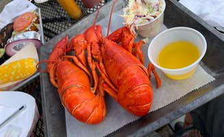 Shawn B.'s photo of camping with pets at Old Orchard Beach Campground near York Beach, ME
