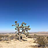 Review photo of Saddleback Butte State Park Campground by Chanel C., June 18, 2018