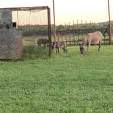 Review photo of Bending Oaks Ranch RV Resort by Robyn W., August 9, 2021